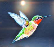 Google Hummingbirds Update